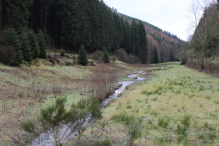 UNTERWEGS IM SAUERLAND