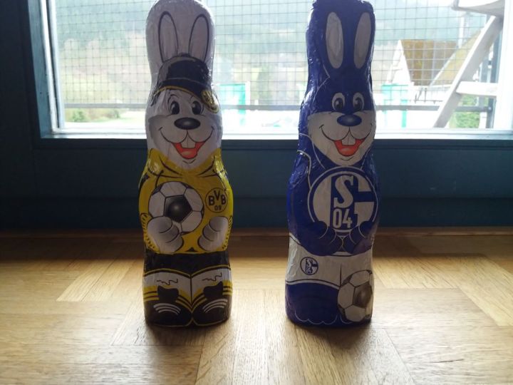 Hase_BVB_Schalke
