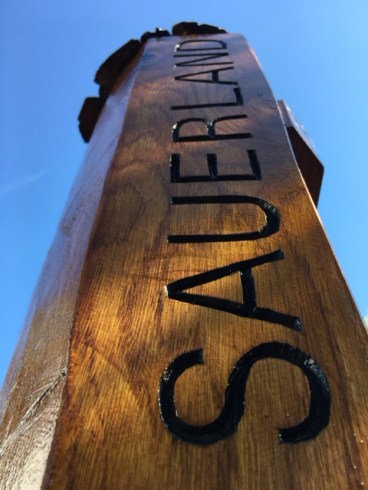 Sauerland_Kettensägenkunst