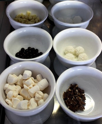 Frozen Yogurt Topping