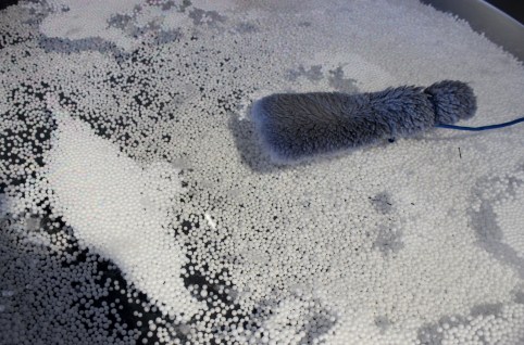 Phänomenta Elektrische Flöhe