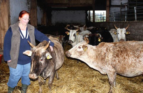 Zwergzebu vom Gutshof Original Assimina Christopoulou