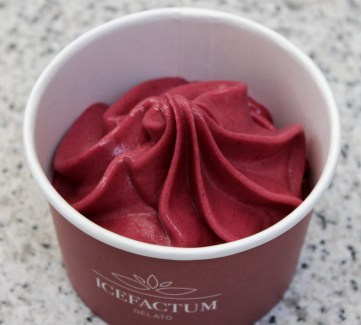 icefactum himbeersorbet