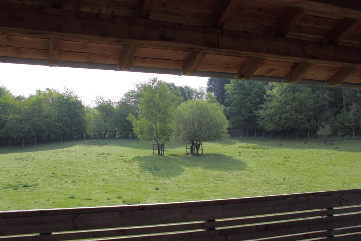 Bilsteintal Hirschbrücke