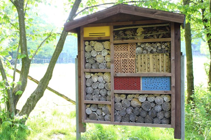Bilsteintal Insektenhotel