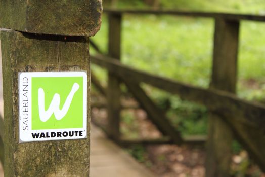 Sauerland Waldroute