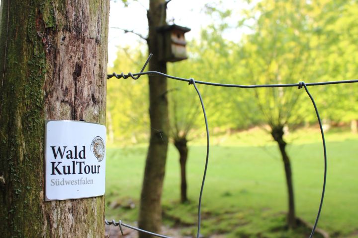 Wald KulTour
