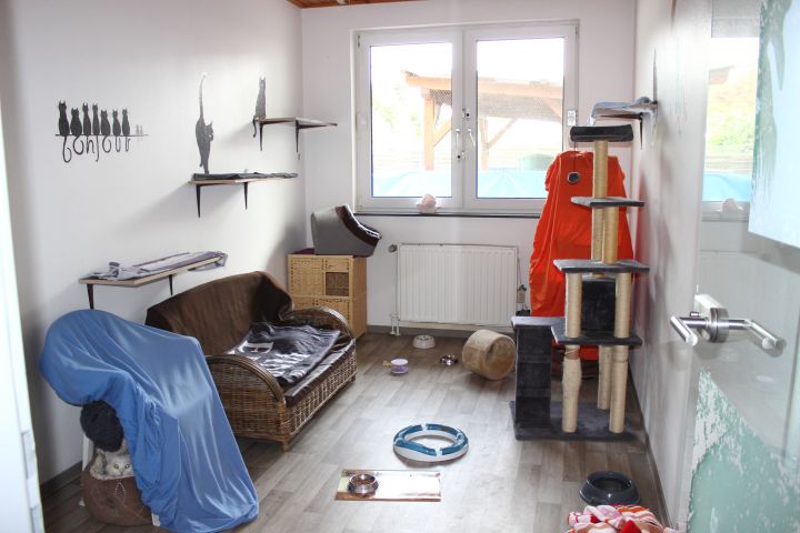 Tierheim Lippstadt Pensionszimmer