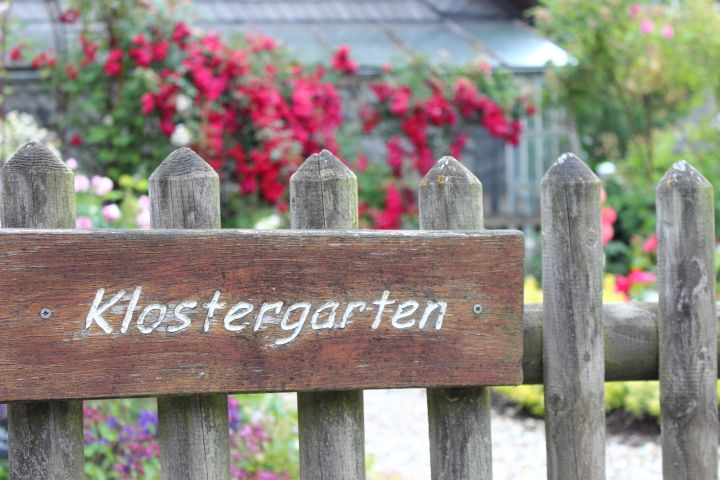 Rosendorf Assinghausen Klostergarten