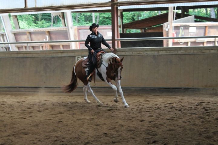 Anke Rath Westernreiten 2