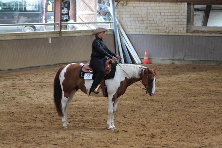 Anke Rath Westernreiten