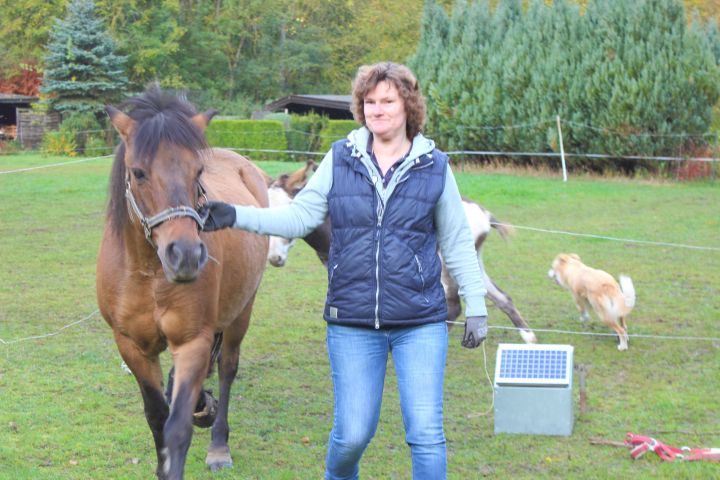 Eselwanderung Brilon 10