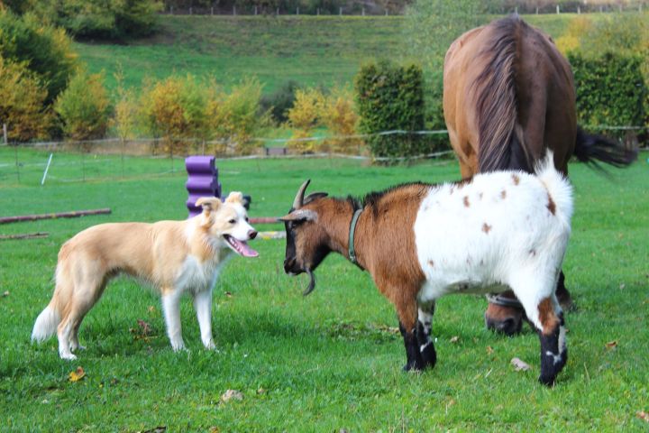 Eselwanderung Brilon 16