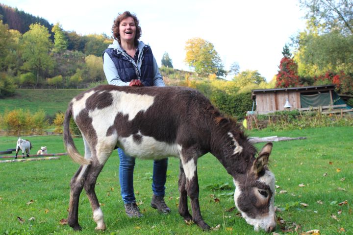 AUF ESELWANDERUNG IN&nbsp;BRILON
