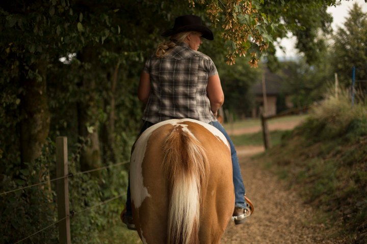 Horseman Handshake Mountain Hill Farm