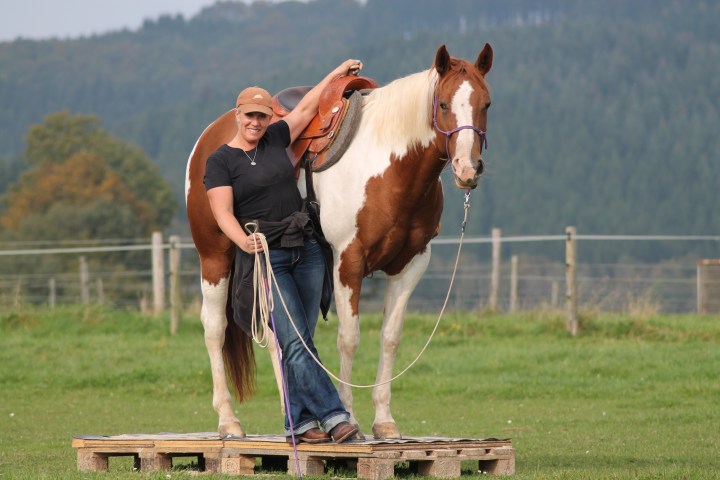 Horsemanship Handshake Anke Rath