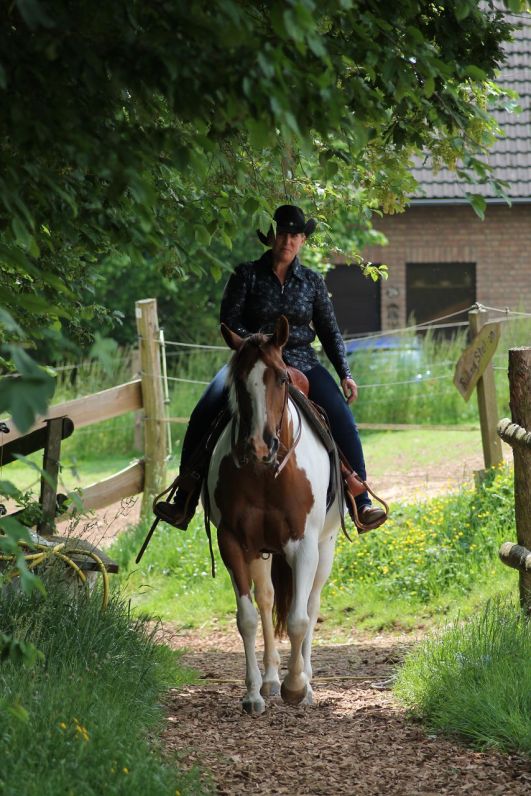 Mountain Hill Farm Ausritt