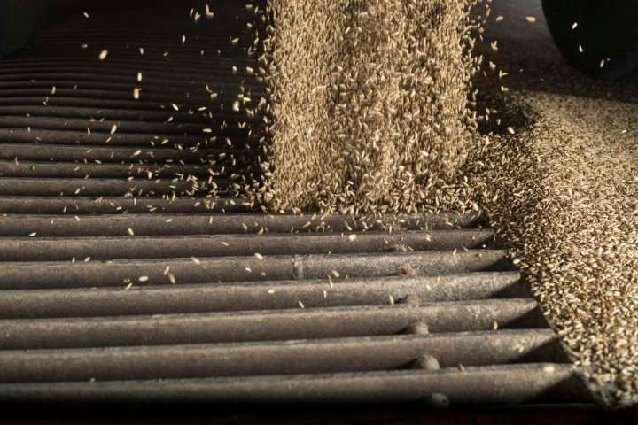 Biomühle Eiling Getreide