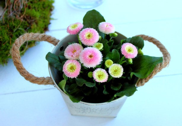 Bianka Kreativ Frühlingsausstellung