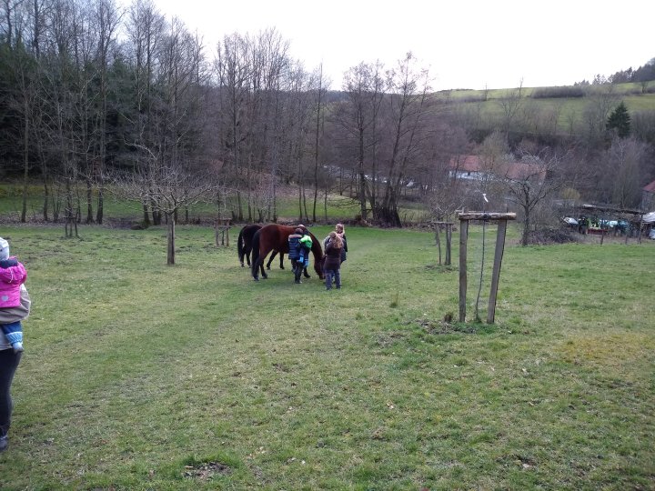 Lebensschule Sauerland Pleydey Natur
