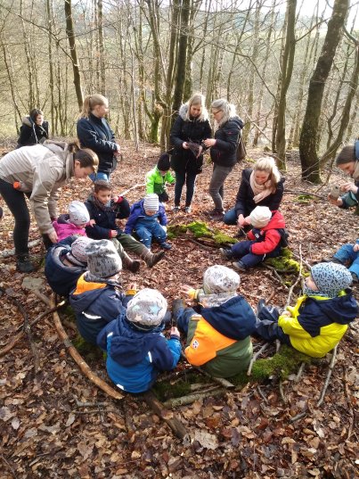 Pleydey goes nature Wald