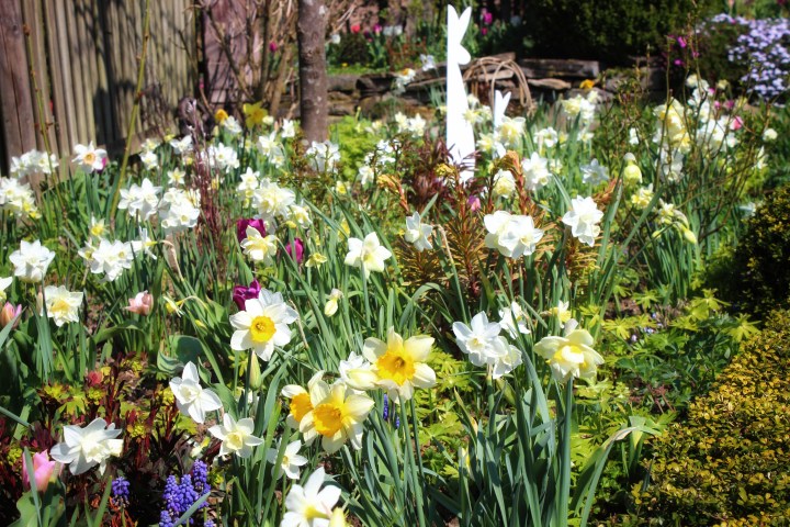 Lenes Landlust 15-01