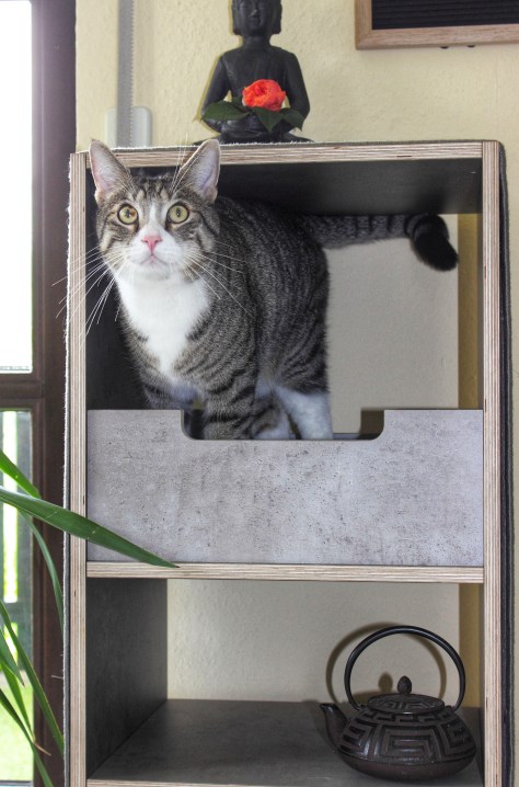 Paws on wood Katzenkratzmöbel-01