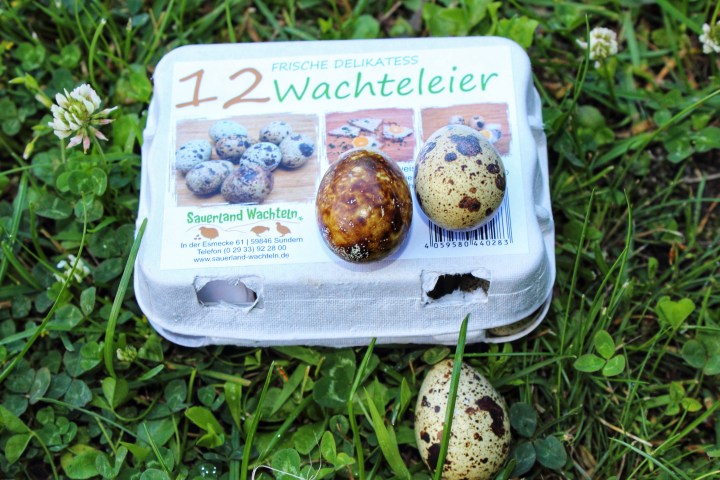 Sauerland Wachteln Wachteleier-01