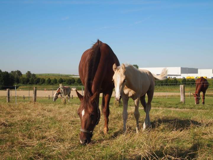 received_1365090897012733