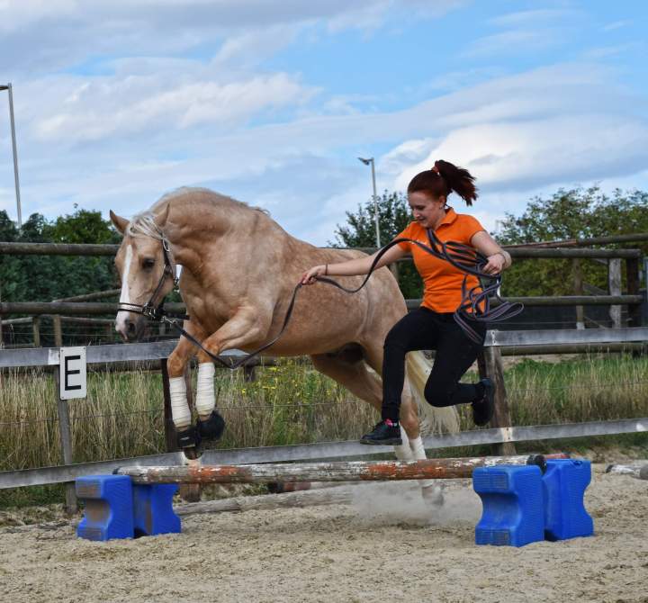 received_394284401165768