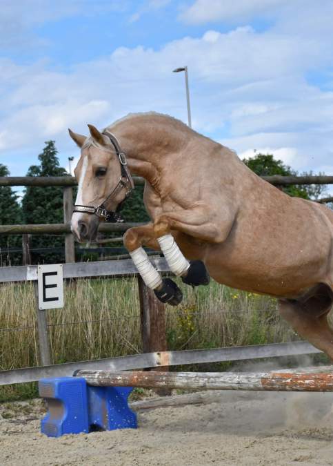 received_461688911084955