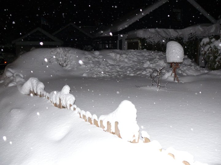 Schnee Ende Januar 2010_2
