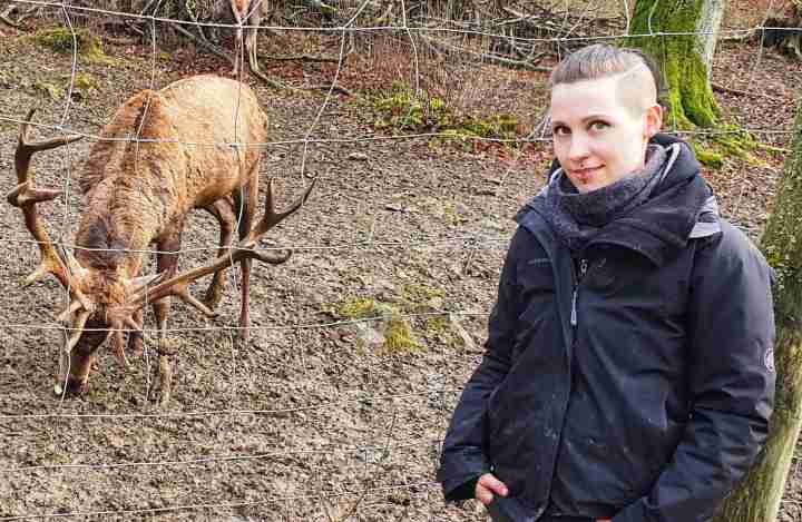 WEIHNACHTEN IM BILSTEINTAL