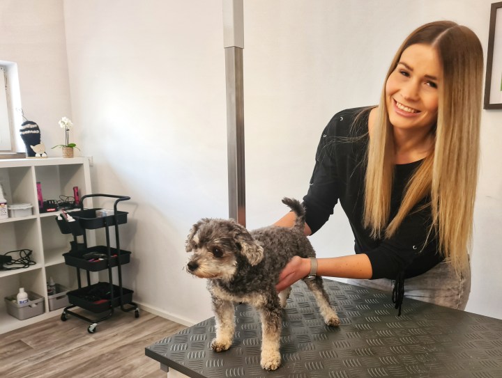 EIN NEUER „FELLSCHNITT“ FÜR HUND UND&nbsp;KATZE