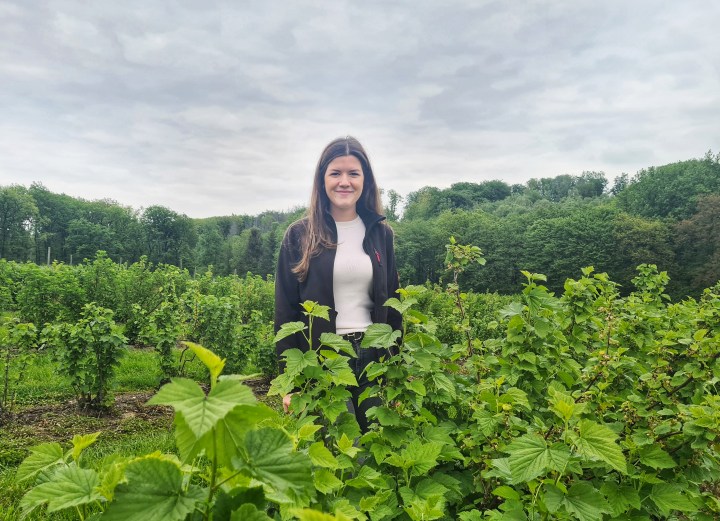 ERNTEZEIT AUF „ERDBEERHOF SCHULZE&nbsp;NEUHOFF“