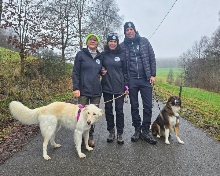 WEIHNACHTEN FÜR DIE „DOGS OF THE CARPATHIANS&nbsp;E.V.“